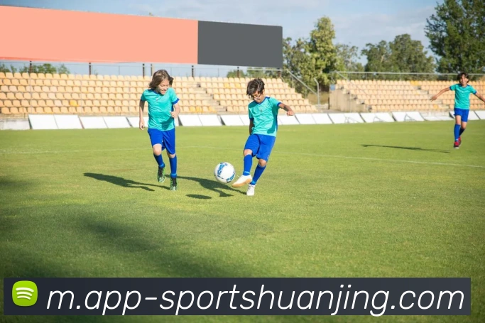 App Interface Preview